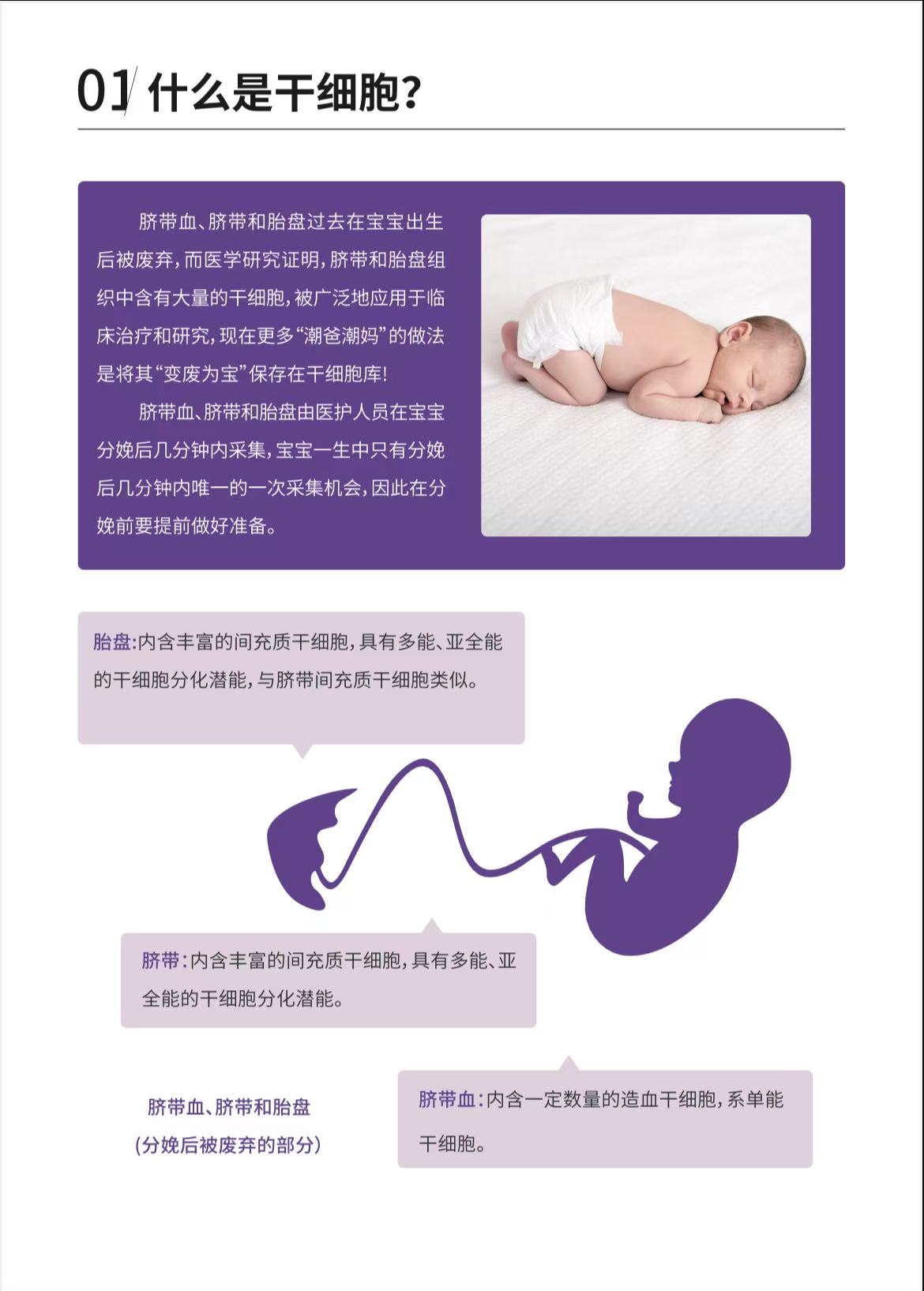 新生儿干细胞储存(pic2)