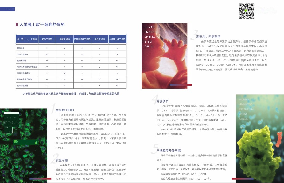再生医学对提高试管成功率的作用(pic10)