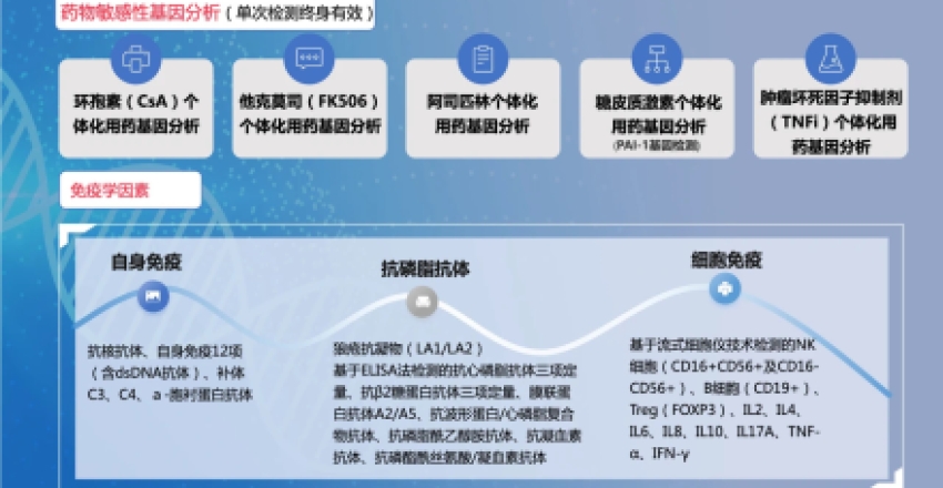 孕前体检项目明细