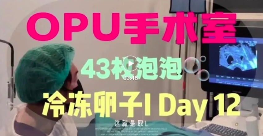 泰国冻卵全程揭秘：30岁12天36枚卵子冷冻