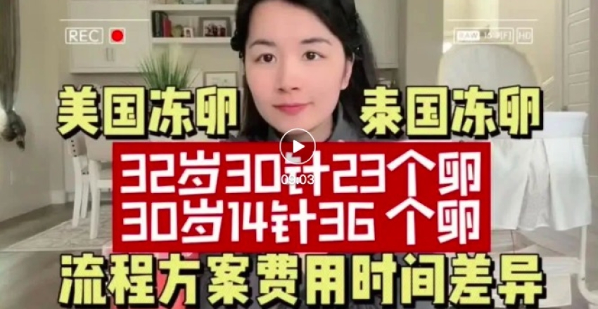 美国泰国冻卵经验总结